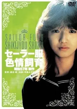 拾光者 奇幻家庭电影手机在线观看